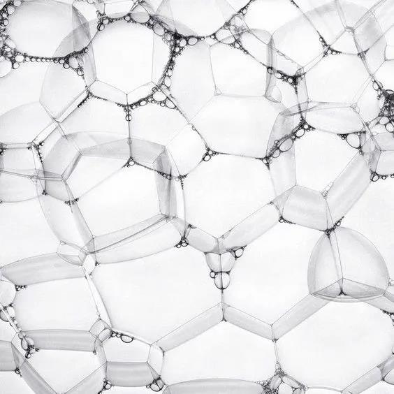 js1996官网·首頁(接待您!)