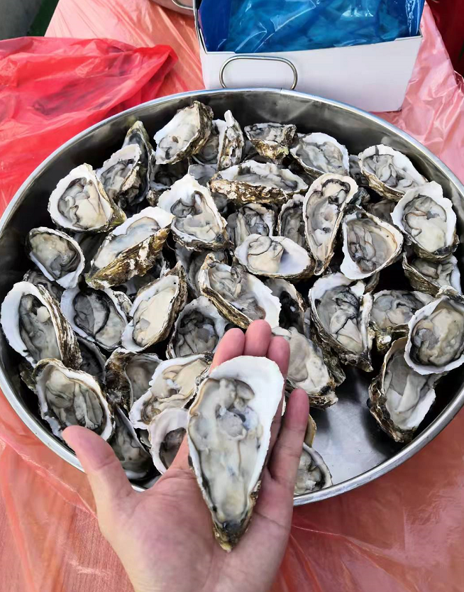 这样的中秋团建，你不喜欢很难！(图24)